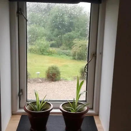 Safine Bed & Breakfast