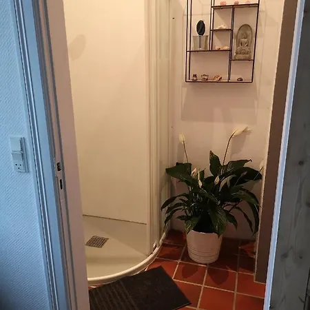 ベッド・アンド・ブレックファスト Safine 3*