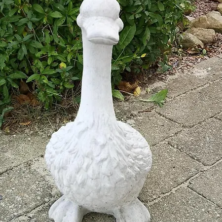 Safine Fåborg