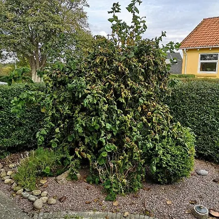 Safine Nocleg ze śniadaniem Fåborg