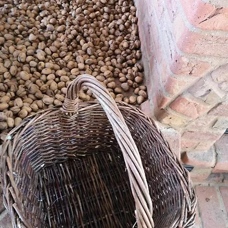 Safine Bed & Breakfast Fåborg