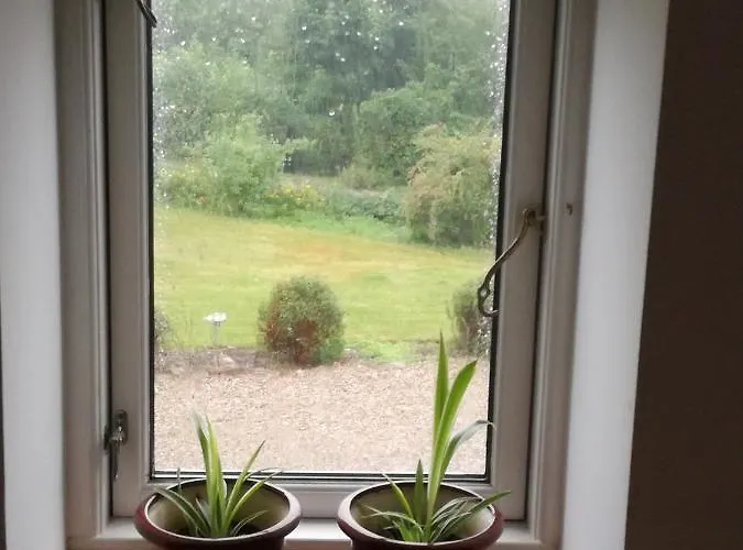 Safine Couette-café