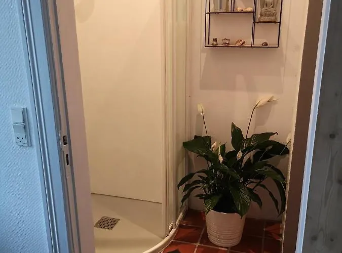 Couette-café Safine 3*