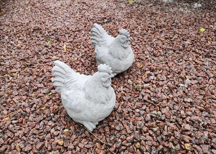 Safine Oda ve Kahvaltı Fåborg