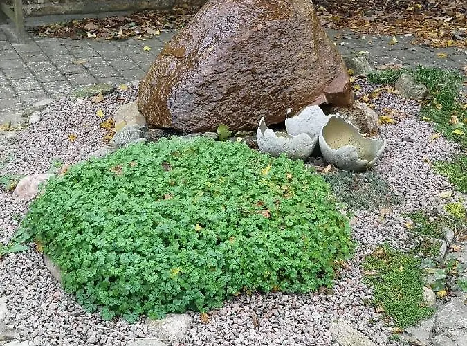 Couette-café Safine