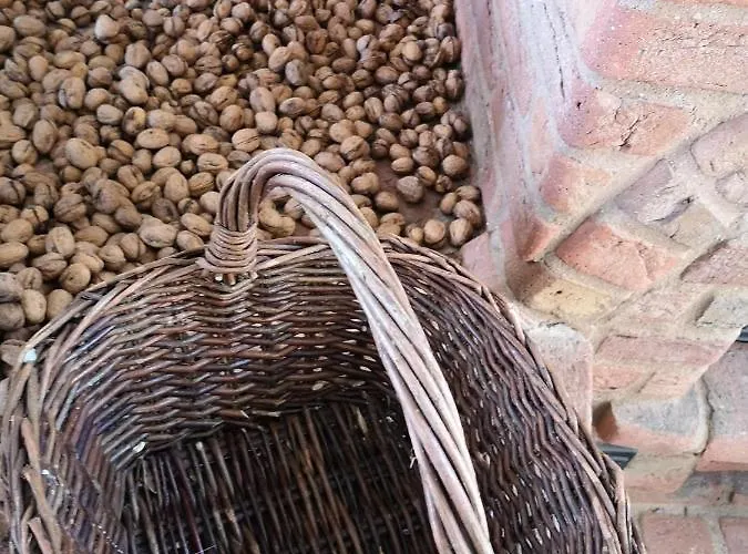 Safine Couette-café Fåborg